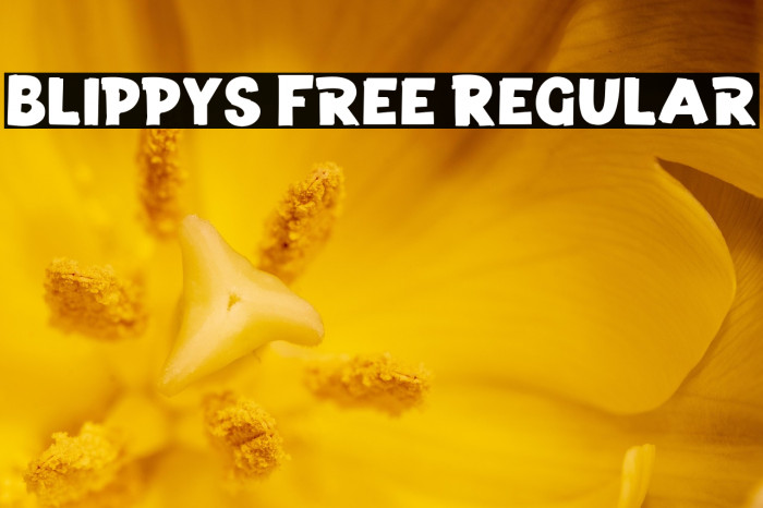 Blippys Free Regular Example 2