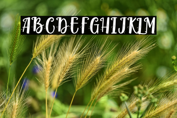 Blisk Rhythm - Personal Use Example 1