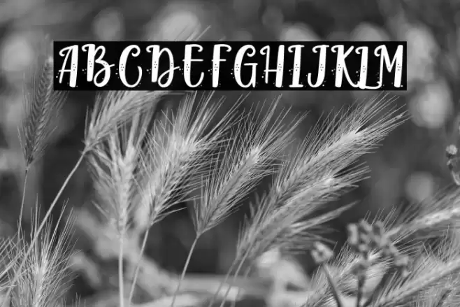 Blisk Rhythm - Personal Use Font examples