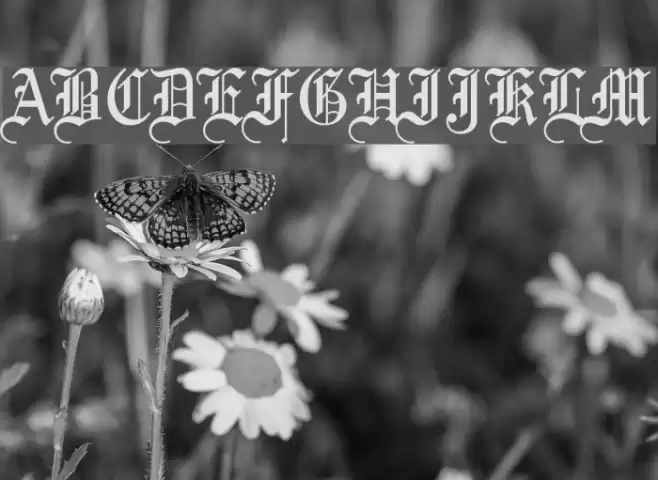 Bliss Normal Font examples