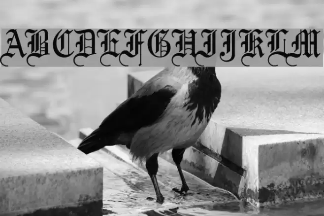 Bliss Normal Font examples