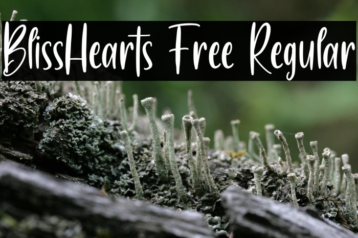BlissHearts Free Regular Example 1