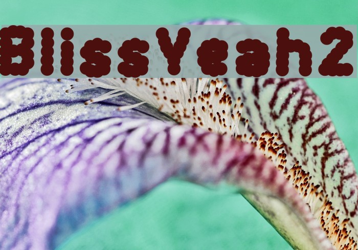 BlissYeah2 Font examples