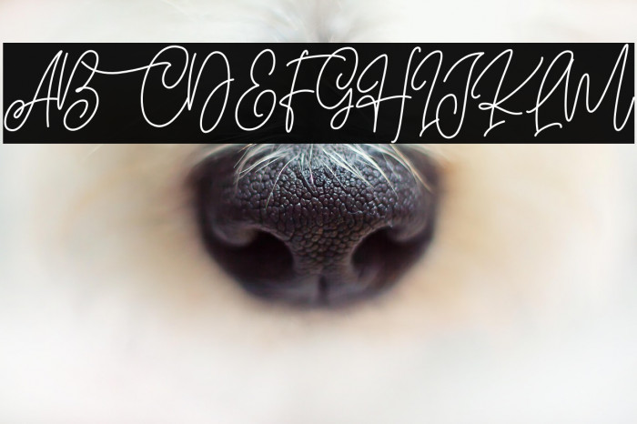 Blissful Christmas Example 1