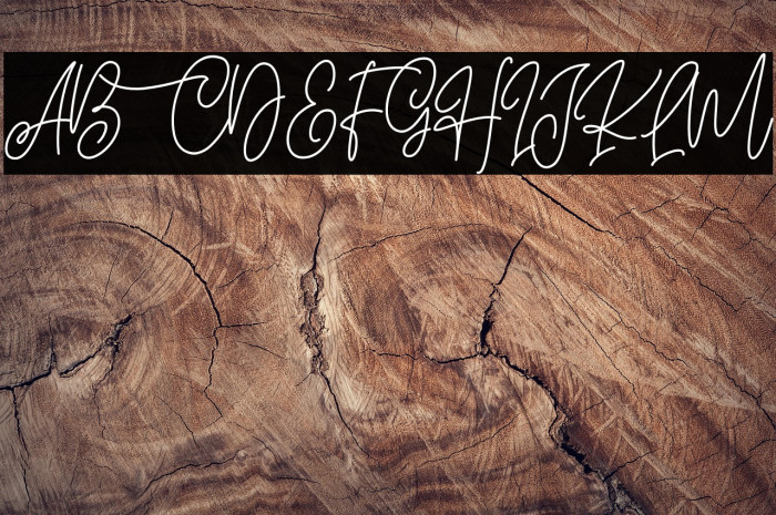 Blissful Christmas Example 3