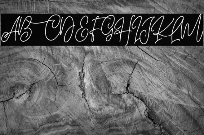 Blissful Christmas خط examples