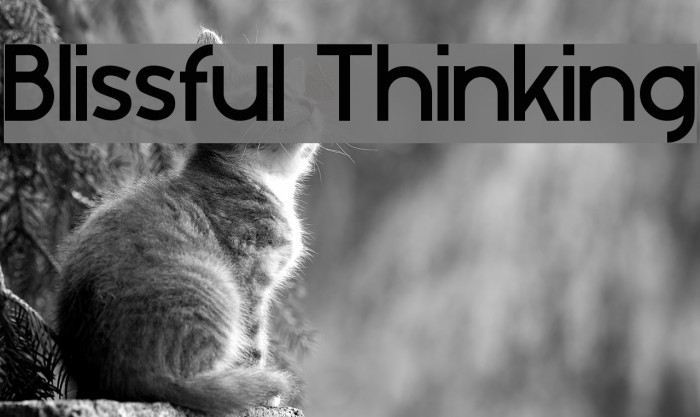 Blissful Thinking Шрифта examples