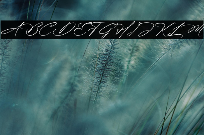 Blissfuly Magnotia DEMO VERSION Italic Example 2