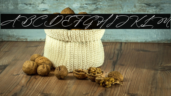 Blissfuly Magnotia DEMO VERSION Italic Example 3