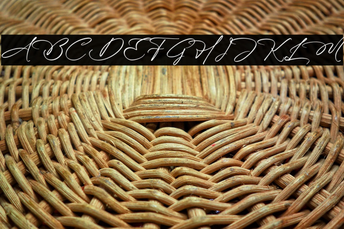 Blissfuly Magnotia DEMO VERSION Example 3