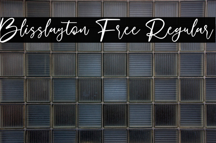 Blisslayton Free Regular Example 1