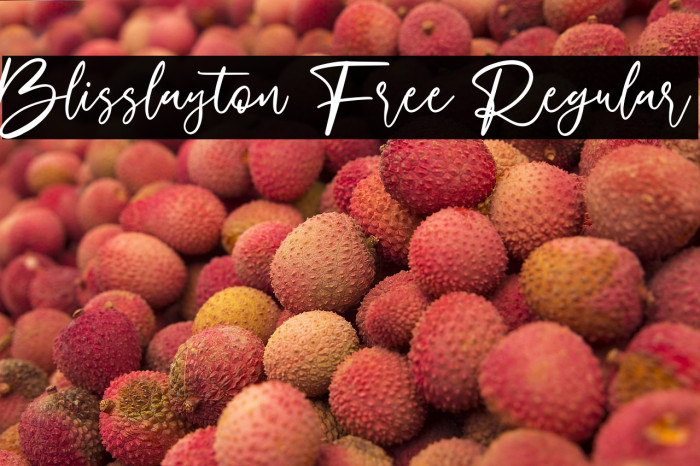 Blisslayton Free Regular Example 3