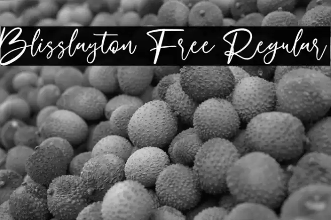Blisslayton Free Regular Font examples