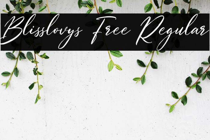 Blisslovys Free Regular Example 1