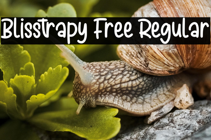 Blisstrapy Free Regular Example 3