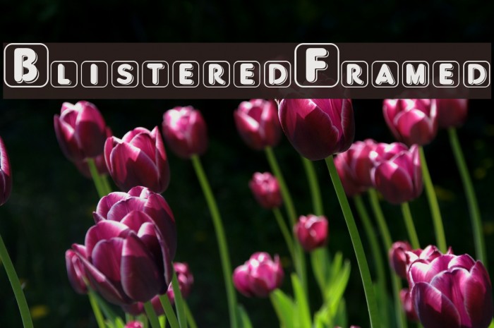 BlisteredFramed Example 3