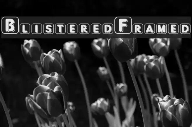 BlisteredFramed Font examples