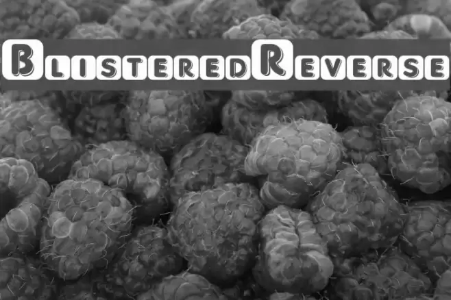 BlisteredReverse Font examples