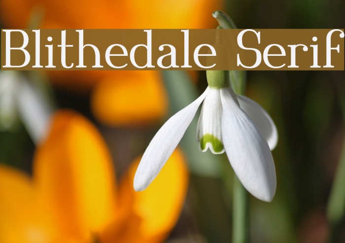 Blithedale Serif Fuentes examples