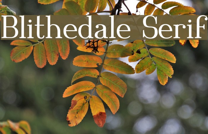 Blithedale Serif Fuentes examples