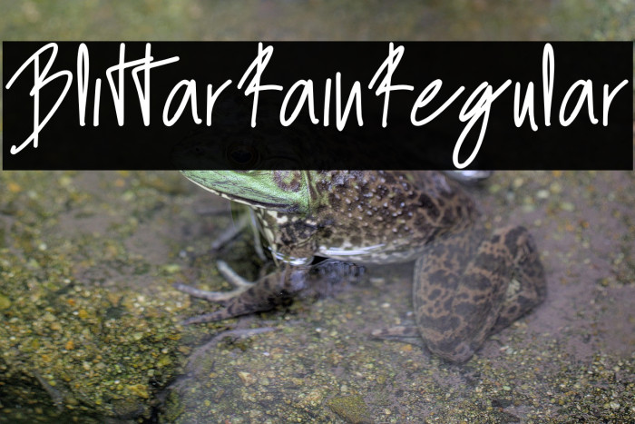 BlittarRainRegular Example 2