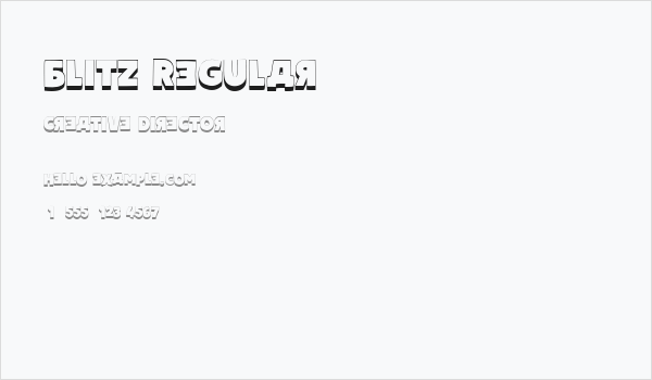 Blitz Regular Business Card