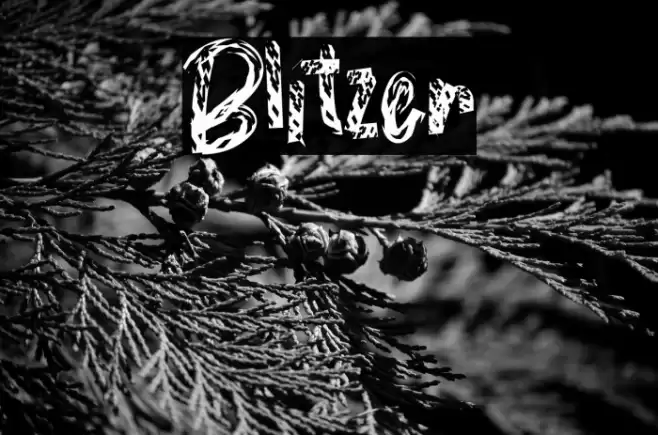 Blitzer Font examples