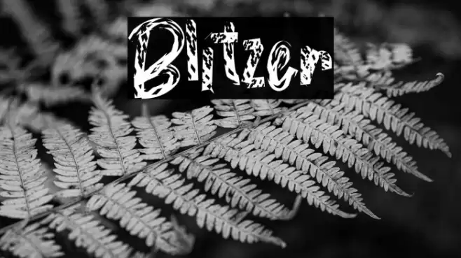 Blitzer Font examples