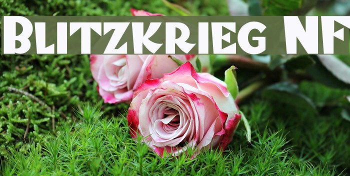 Blitzkrieg NF لخطوط تنزيل examples