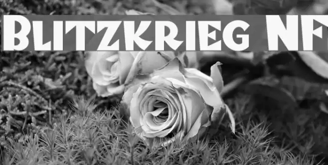 Blitzkrieg NF خط examples