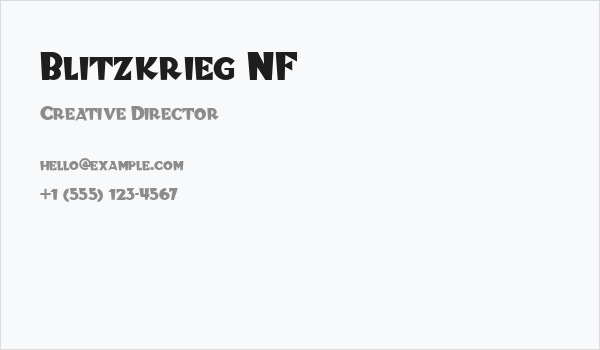 Blitzkrieg NF Business Card