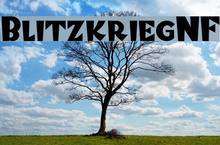 BlitzkriegNF Font examples
