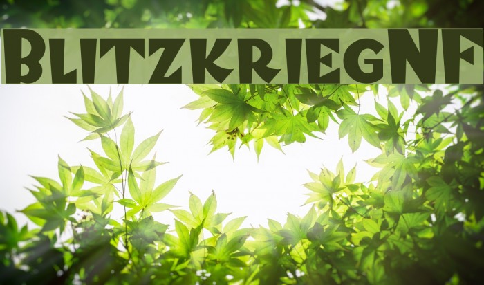 BlitzkriegNF Font examples