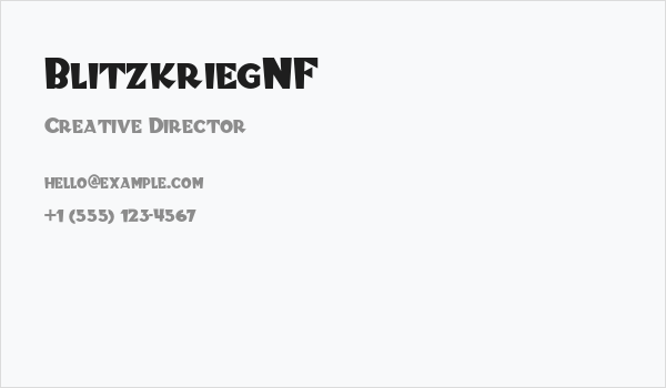 BlitzkriegNF Business Card