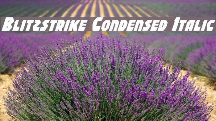 Blitzstrike Condensed Italic Font examples