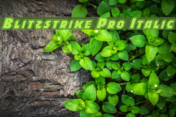 Blitzstrike Pro Italic Example 1