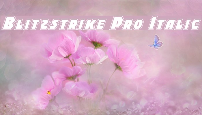 Blitzstrike Pro Italic Example 2