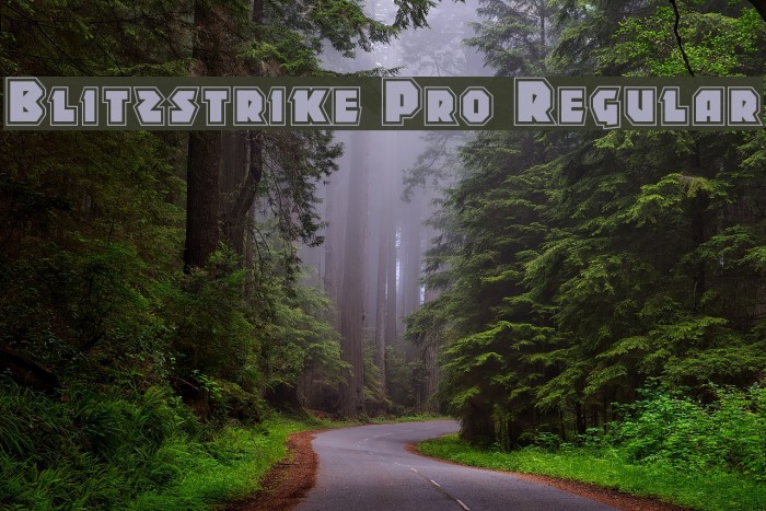 Blitzstrike Pro Regular Font examples