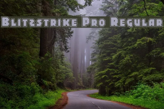 Blitzstrike Pro Regular Example 3