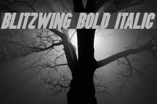 Blitzwing Bold Italic Font examples