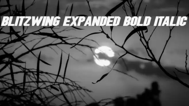 Blitzwing Expanded Bold Italic Font examples