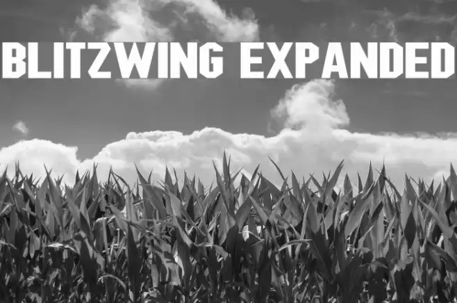 Blitzwing Expanded Font examples