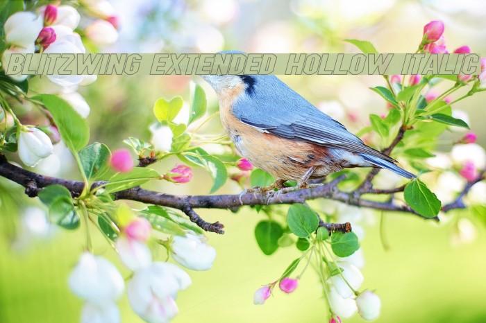 Blitzwing Extended Hollow Italic Example 2