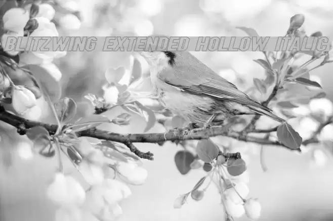 Blitzwing Extended Hollow Italic Font examples