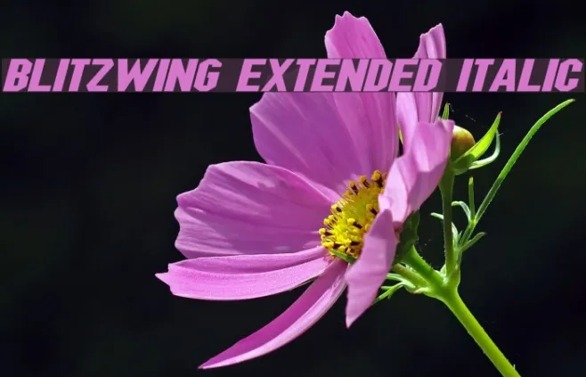 Blitzwing Extended Italic Example 1
