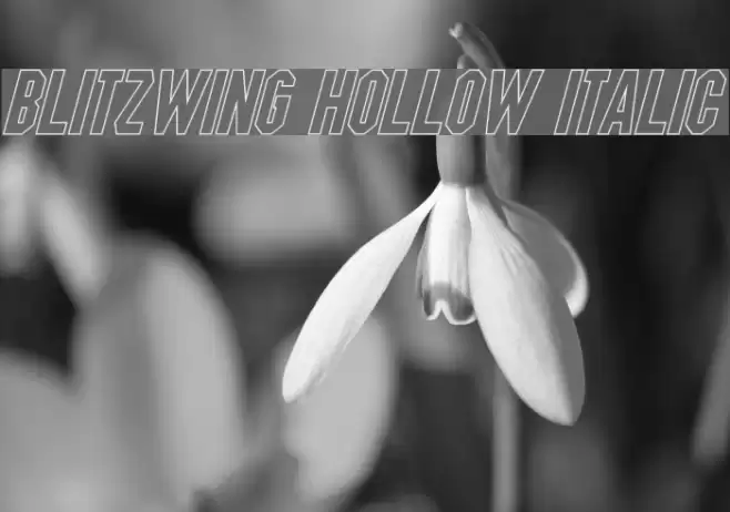 Blitzwing Hollow Italic  examples