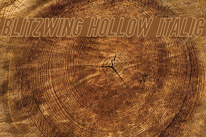Blitzwing Hollow Italic Font examples