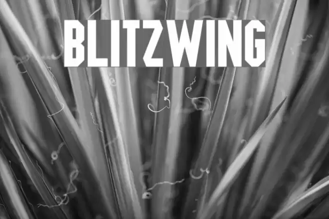 Blitzwing Font examples