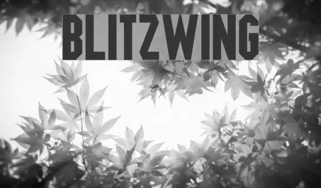 Blitzwing Font examples