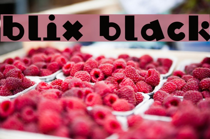 Blix Black Font examples